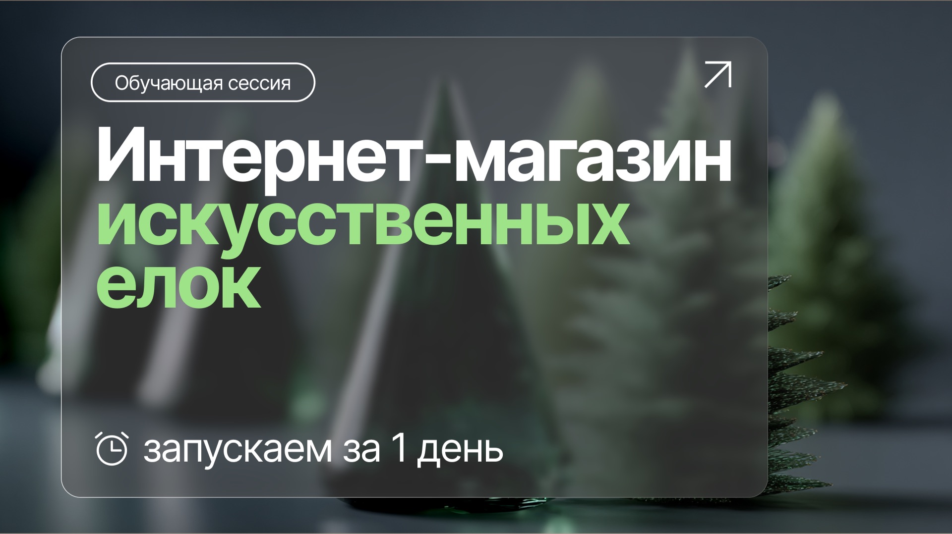 Как сделать ИНТЕРНЕТ-МАГАЗИН искусственных елок? | ЗАПУСК ЗА 1 ДЕНЬ смотреть онлайн
