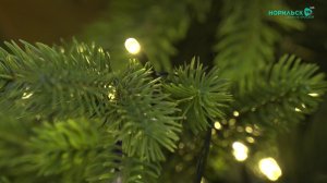 Норильские новости - 15.01.2026