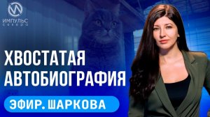 Эфир. Кошачья мечта. «Ямальское долголетие». Украл стиралку