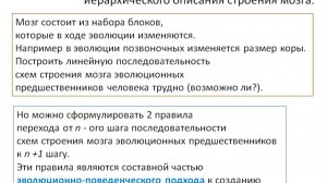 Системный взгляд на эволюцию мозга - Смирнитская Ирина Аркадьевна - семинар AGI