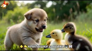 Утята и Цыплята - Кошки и котята, Собаки и щенята (324) Хвостики да Усики ❣️