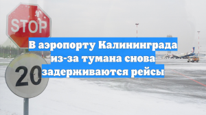 Шесть аэропортов приостановили рейсы в Калининград из-за непогоды