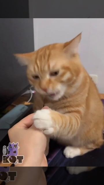 Не справился с эмоциями смотреть онлайн