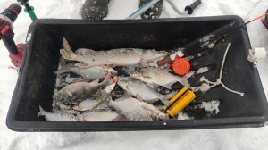 ЗИМНЯЯ РЫБАЛКА ОТКРЫТИЕ НА ОКЕ 2026