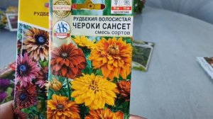 Готовимся к дачному сезону