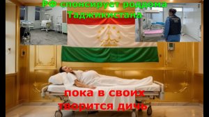 РФ спонсирует роддома Таджикистана, пока в своих творится дичь