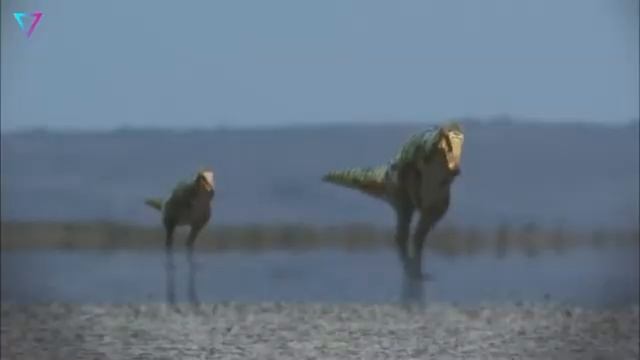 Я люблю всех животных😇 смотреть онлайн