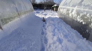 Середина января🕸🎄🌞 Готовимся  к посадкам🍅🥒🌼 Кубань 🧡Дом в станице🏠