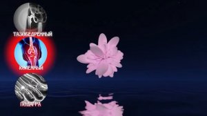 Матрицы Гаряева для Восстановления всех Суставов Ног ☀️ Полное Восстановление Суставов Звуком