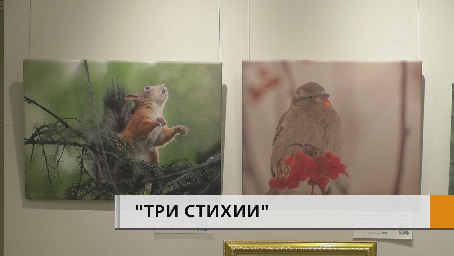 Красота окружающего мира на ярких фотографиях смотреть онлайн