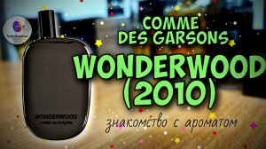 COMME DE GARSONS WONDERWOOD (2010) - знакомство с интересной нишей и мои впечатления