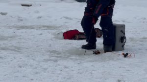 Зачётная котлета.СЗ