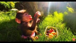 Ангелина упала, но НЕ ПЛАЧЕТ, а Люся с Каролиной МЕНЯЮТСЯ ЕДОЙ)))