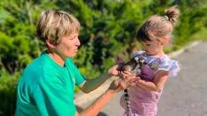 НЕОЖИДАННО! У Ангелины и Люси новый друг, малыша БРОСИЛА МАМА!