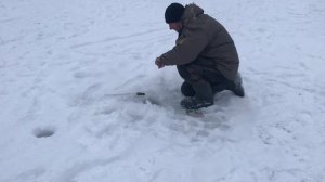 поимка форели на молька