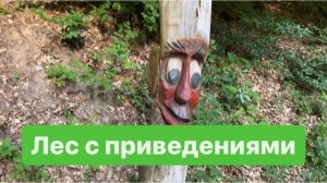 Прогулка по лесу закончилась неожиданно. Наши разговоры с Лизой.#мысливслух#германия#разговорподушам