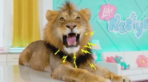 Приключения  с игрушечными животными