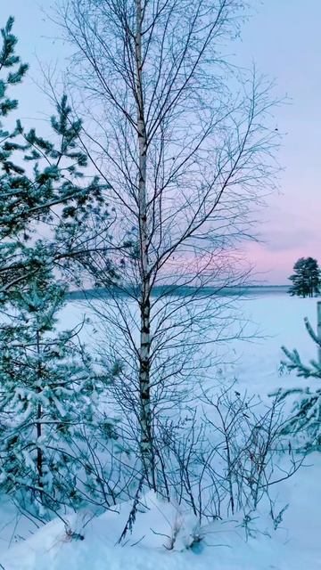 #mydecember смотреть онлайн