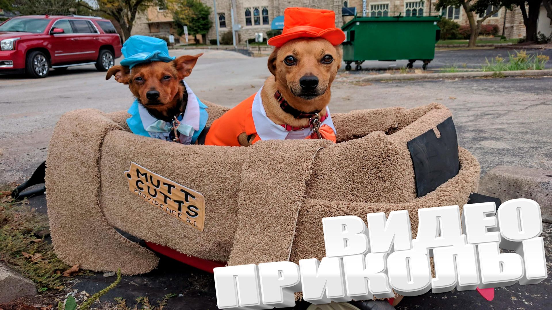 ВИДЕОПРИКОЛЫ \ КРУТЫЕ ПРИКОЛЫ 2025 \ НОВЫЕ ПРИКОЛЫ \ СМЕШНЫЕ ПРИКОЛЫ 2025 ЮМОР смотреть онлайн