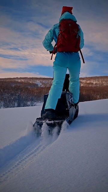 на мотосноуборде мотособаке мотобуксировщике по лесу. Камчатка. смотреть онлайн