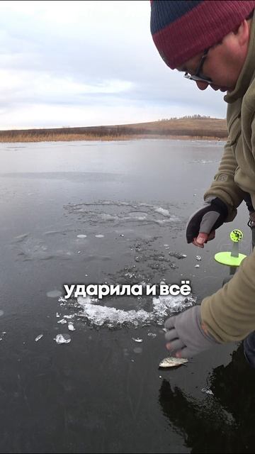 ВОТ ТАК И РЫБАЧИМ! #shorts #рыбалка #fishing #рыба #fish #эдвардкосичка #природа #nature #отдых смотреть онлайн