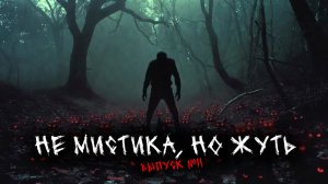 НЕ МИСТИКА НО ЖУТЬ (ХОТЯ МИСТИКА ТОЖЕ ПРИСУТСТВУЕТ) (5В1) ВЫПУСК №11