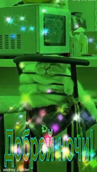 Доброй ночи!) Волшебных снов) #добройночи смотреть онлайн