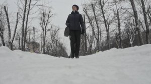 Середина  января 2025 года. Прогулка в гипермаркет. Отдел сад-огород Ашан. Много семян и недорого.