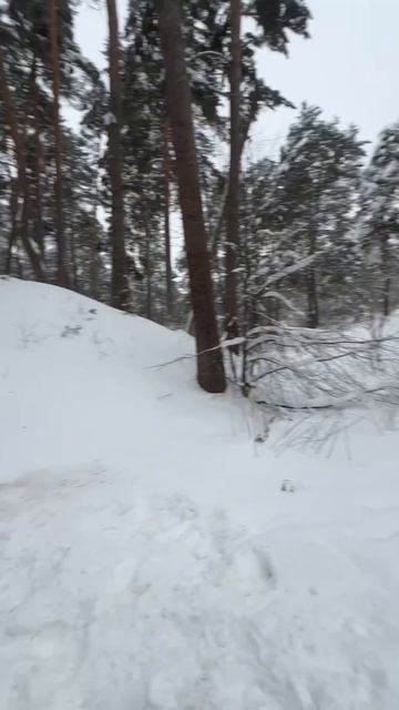 Нету сил ждать весны, нетусил давно) смотреть онлайн