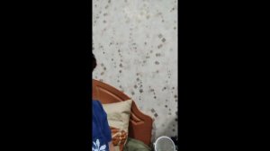 Как мы готовились к Новому году.