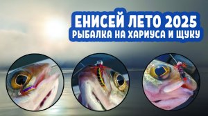 Рыбалка на Енисее в компании с "Живчиком". Ловля Хариуса и Щуки.