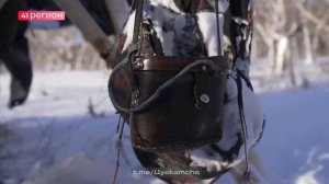 СЕВЕРНЫЕ ОЛЕНИ • БЕЗ КОММЕНТАРИЕВ