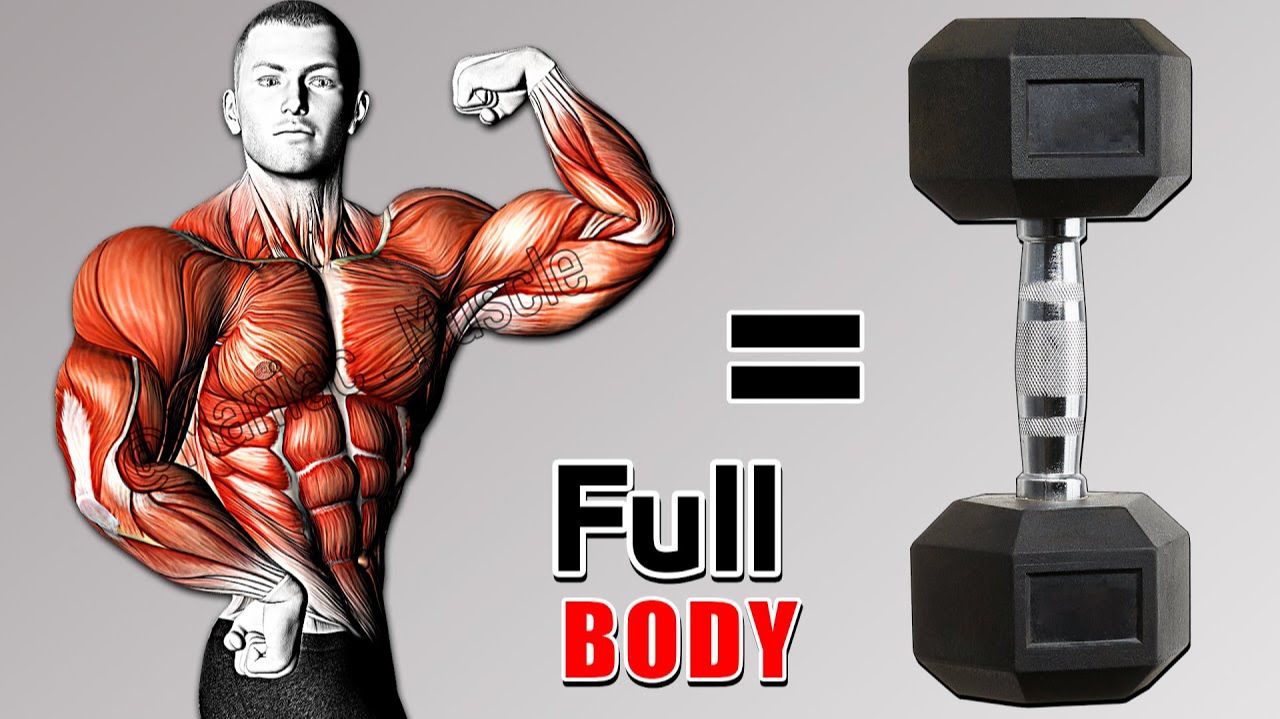 ТРЕНИРОВКА ВСЕГО ТЕЛА С ГАНТЕЛЯМИ | Тренировка всех мышц (по 4 упражнения в каждом) 🔥🔥нов