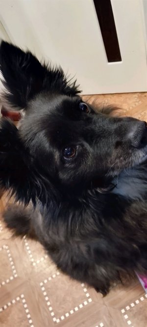 тихая гавань