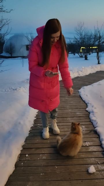 Милая кошечка 🐈😻 смотреть онлайн