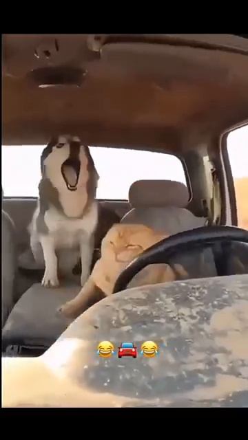 Такого вы еще не видели смотреть онлайн