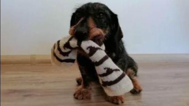 Купили Соне носочки на зиму. смотреть онлайн