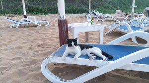 Только на пляже можно реально отдохнуть