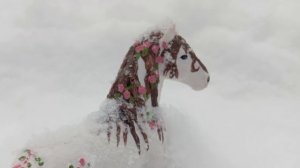 зимний фотосет