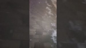 гуляем в парке