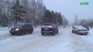 В январские выходные бродячие собаки покусали четырех уфимцев