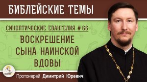 Синоптические Евангелия #66. Воскрешение сына наинской вдовы.   Протоиерей Димитрий Юревич