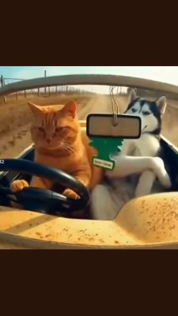 животныезарулём котыпутешествуют приключениянаколёсах живописьвпутешествии