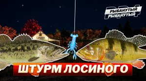 ТРОФХАНТИНГ на озере ЛОСИНОЕ ● Русская Рыбалка 4