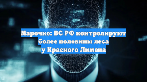 Марочко: ВС РФ контролируют более половины леса у Красного Лимана
