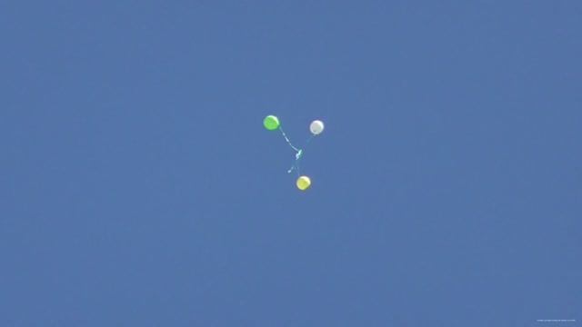 ГОЛУБИ ТАНЦУЮТ. Дискотека смотреть онлайн