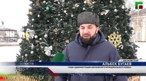 Шелковская победила в номинации «Малые города» конкурса «Ёлки России»