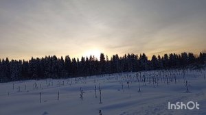 15-01-2026. Жизнь в деревне.Прогулка до реки цыдовка.