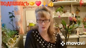 1000017191.mp4  🖋️🚀СЕЙЧАС ПОРУЛИМ И КОФЕ НА БЕГУ 💃🔥МОИ  БУДНИ🖋️🚀