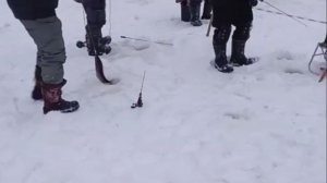 Рыбалка на Нижнем. Неплохо работают пассивные снасти. Клёвое место Лосиный остров.